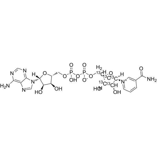 NAD+-13C5-1 (nicotinamide adenine dinucleotide-13C5-1) 1859096-06-2